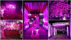 Wedding Event Planners Goa