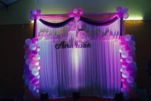 Party Planners Mapusa