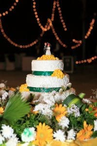 Goa's Top wedding Photographers