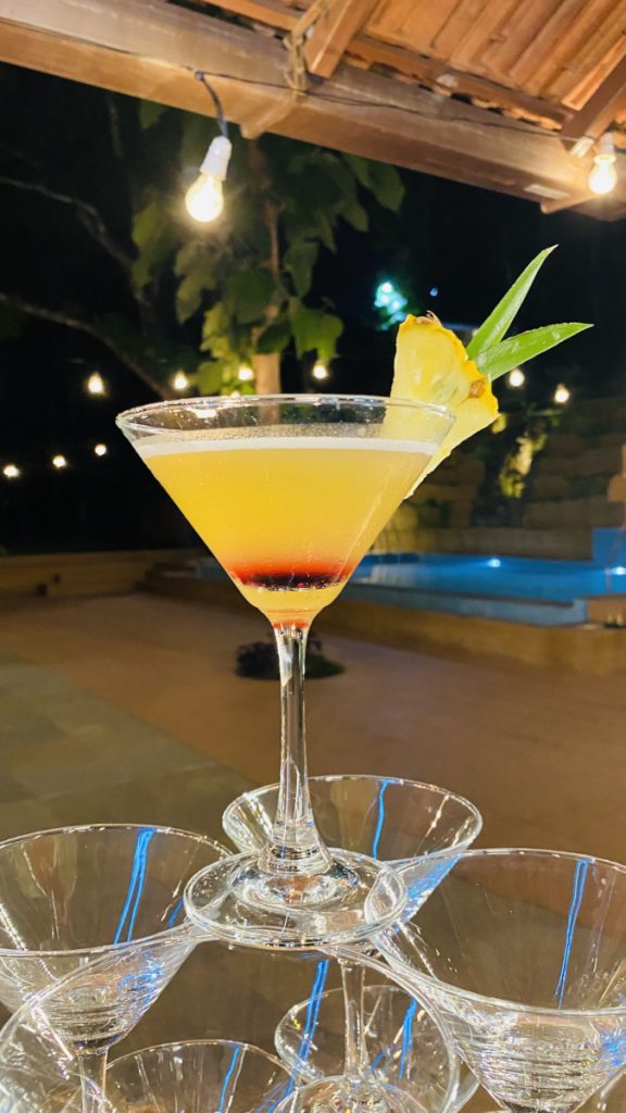 Bar Services for all occasions Goa