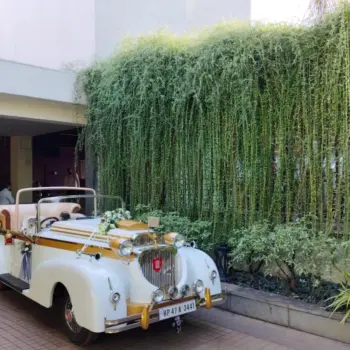 Holy Family Wedding Drives