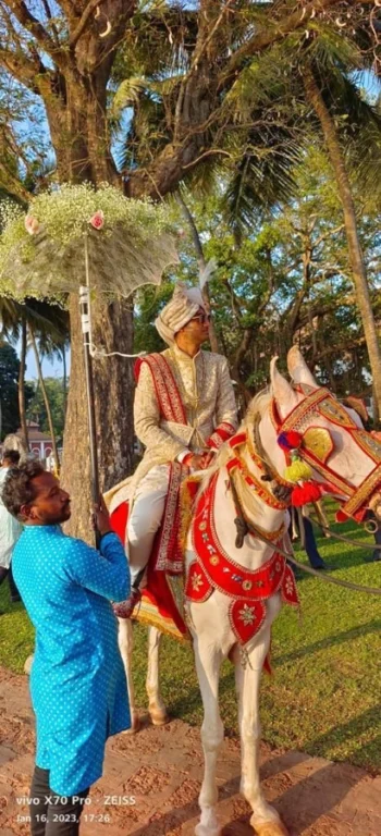 Punjabi Dholwala