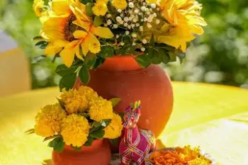 Destination Wedding Planner In Goa