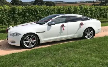 Luxury Car Rentals In Goa