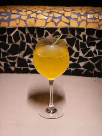 Premium Bar service In Goa