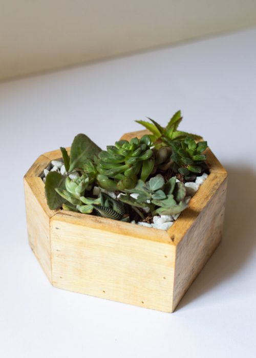 Plant wedding takeaways